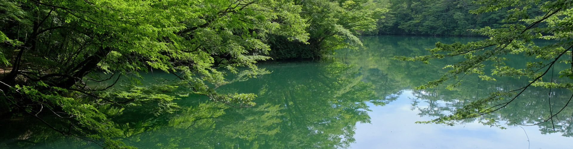 圧倒的な美しさの青池と33の湖沼群 - 十二湖の森
